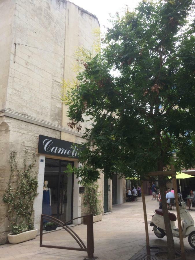 Appartement Nostradamus à Saint-Rémy-de-Provence Extérieur photo